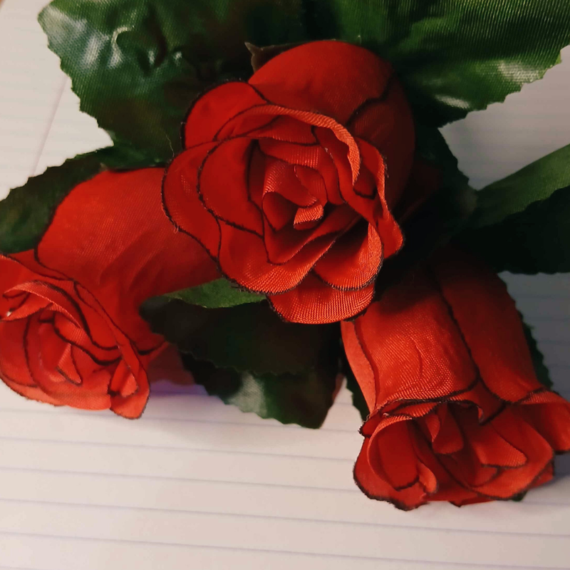 Showcase of Rose Pen 4